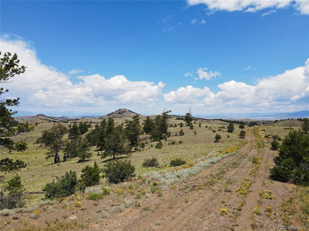 25 Wolfe Road Hartsel, CO 80449 - Photo 12 of 16