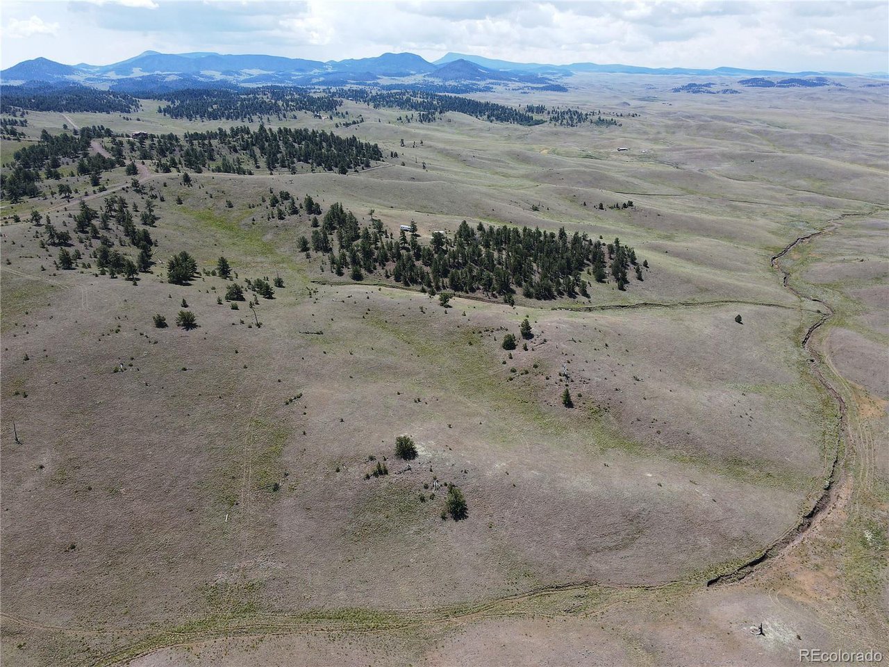 25 Wolfe Road Hartsel, CO 80449 - Photo 14 of 16 a view of a dry forest