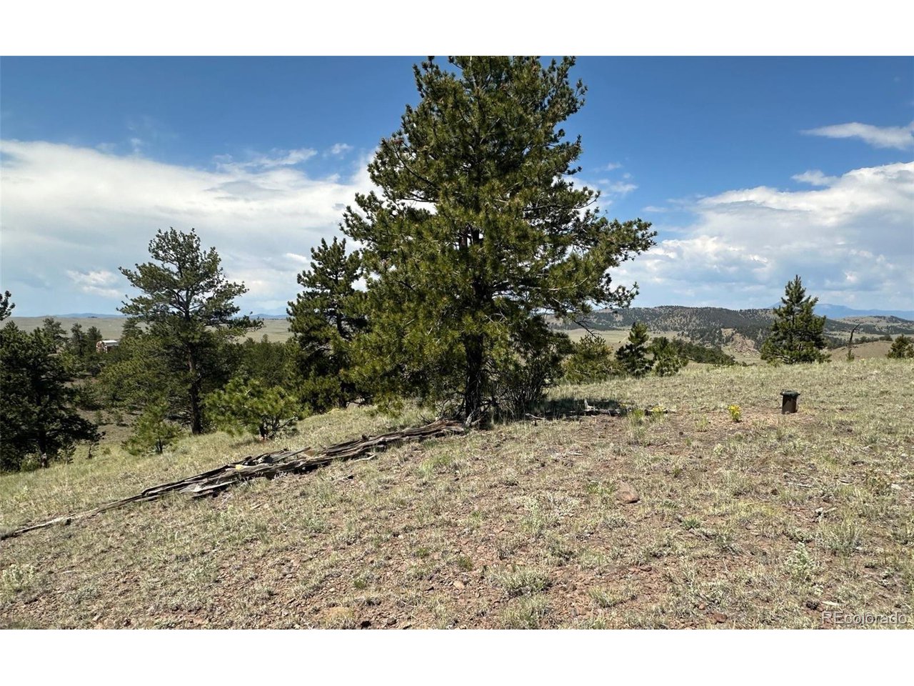 25 Wolfe Road Hartsel, CO 80449 - Photo 2 of 16 a view of a dry yard with trees