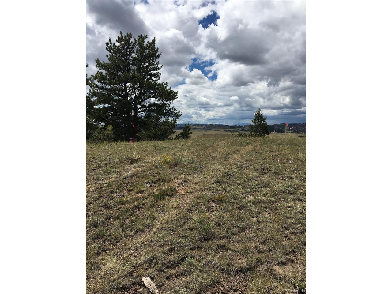 25 Wolfe Road Hartsel, CO 80449 - Photo 4 of 16 a view of a dry yard