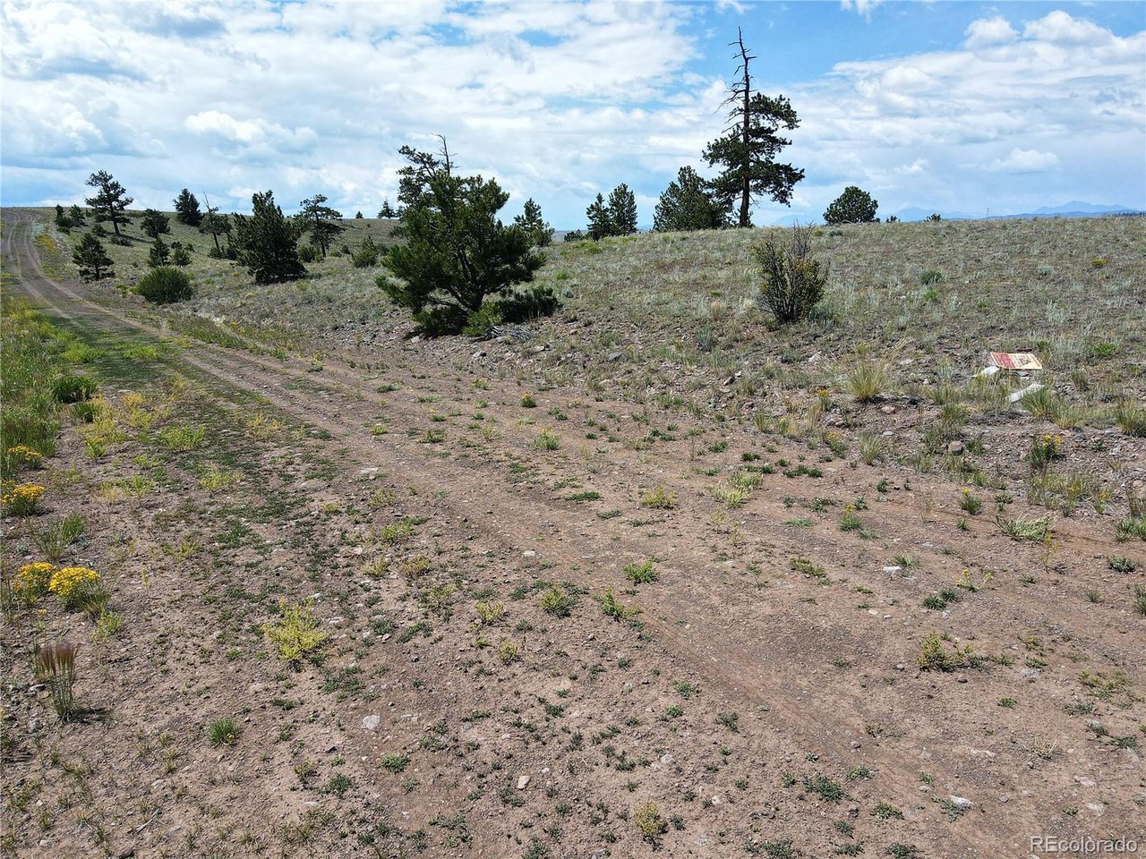 25 Wolfe Road Hartsel, CO 80449 - Photo 7 of 16 a view of a dry yard
