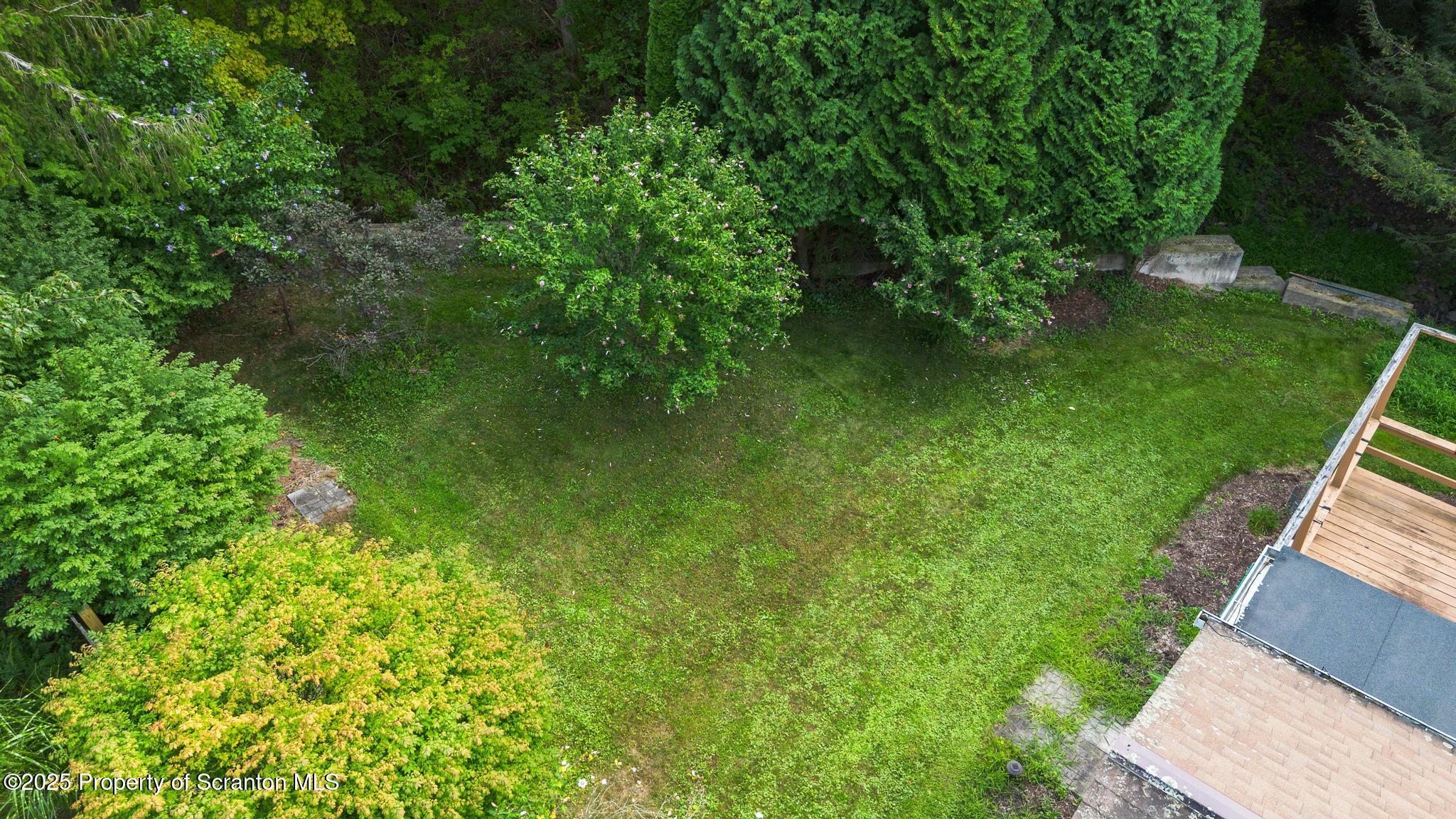 378 Gravel Pond Road Clarks Summit, PA 18411 - Photo 7 of 30 a view of a yard with plants