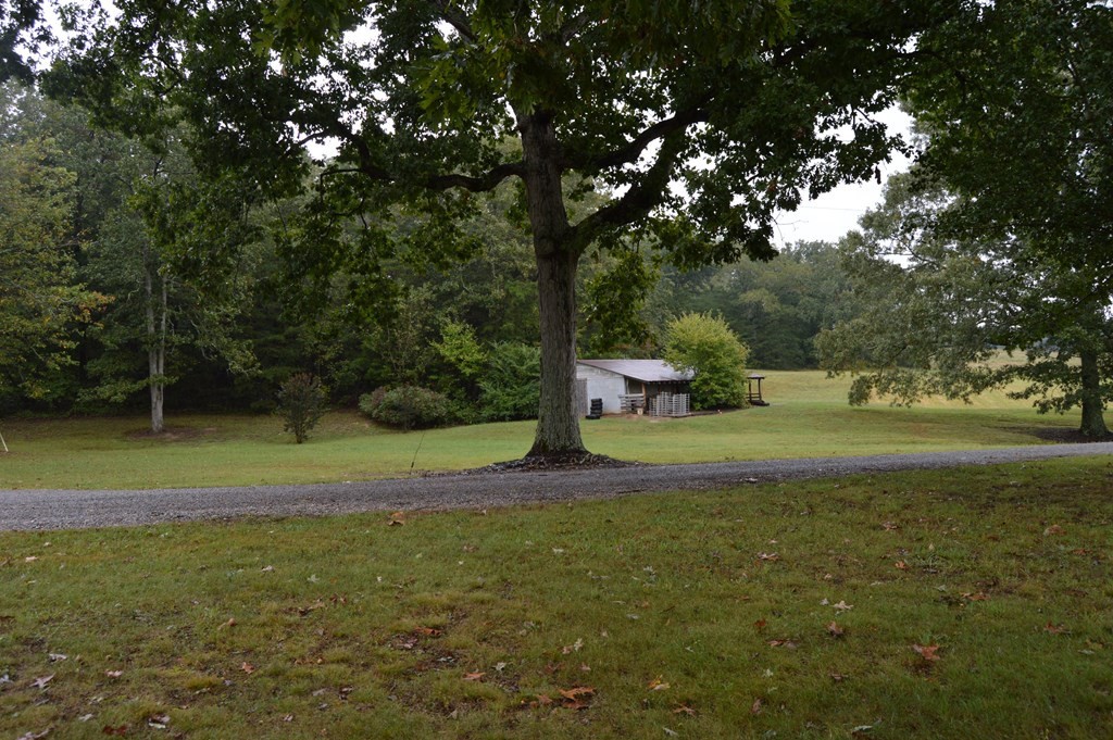 3520 Blue Springs Road Sweetwater, TN 37874 - Photo 31 of 49 a view of a park with large trees