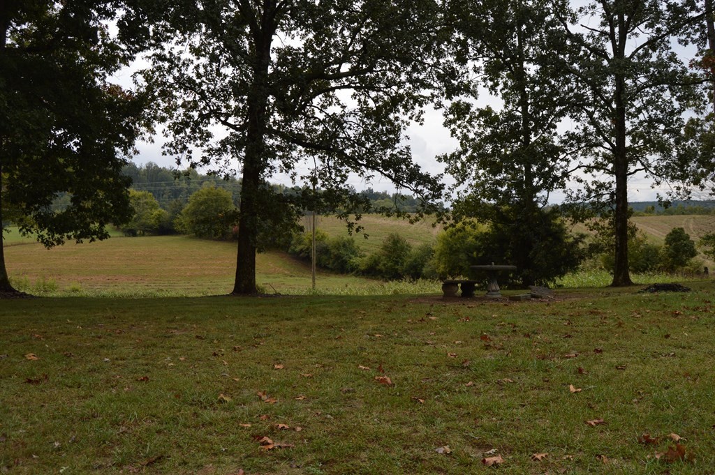 3520 Blue Springs Road Sweetwater, TN 37874 - Photo 32 of 49 a view of a field with trees in the background