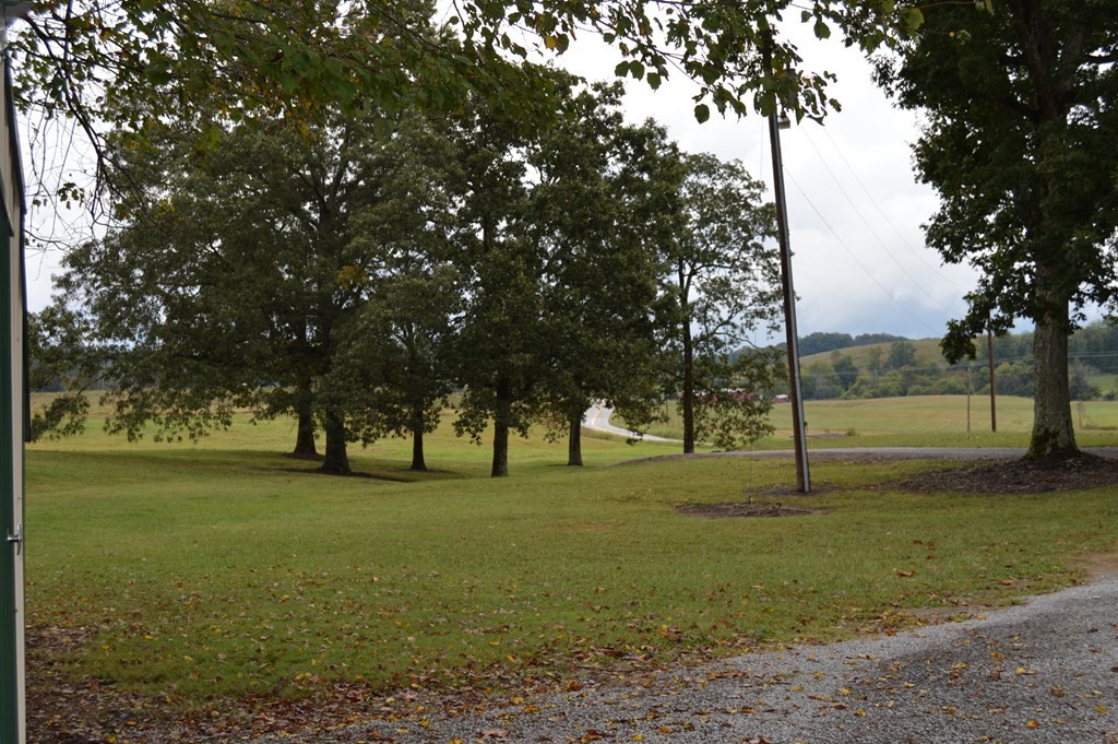 3520 Blue Springs Road Sweetwater, TN 37874 - Photo 6 of 49 a view of grassy field with trees
