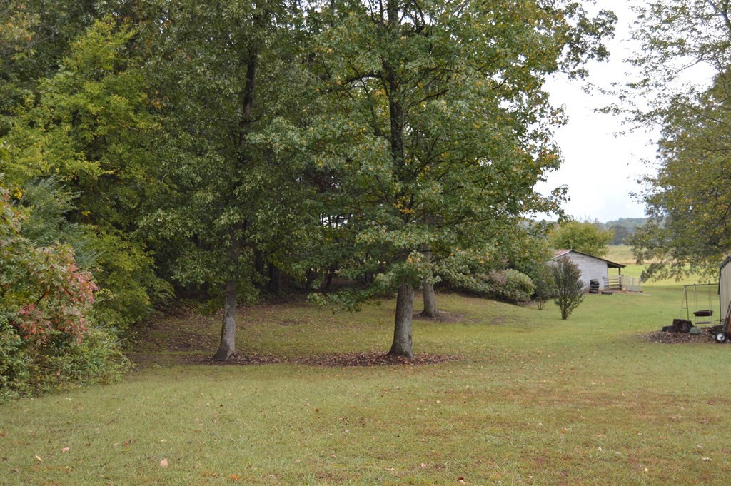3520 Blue Springs Road Sweetwater, TN 37874 - Photo 9 of 49 a view of outdoor space and yard