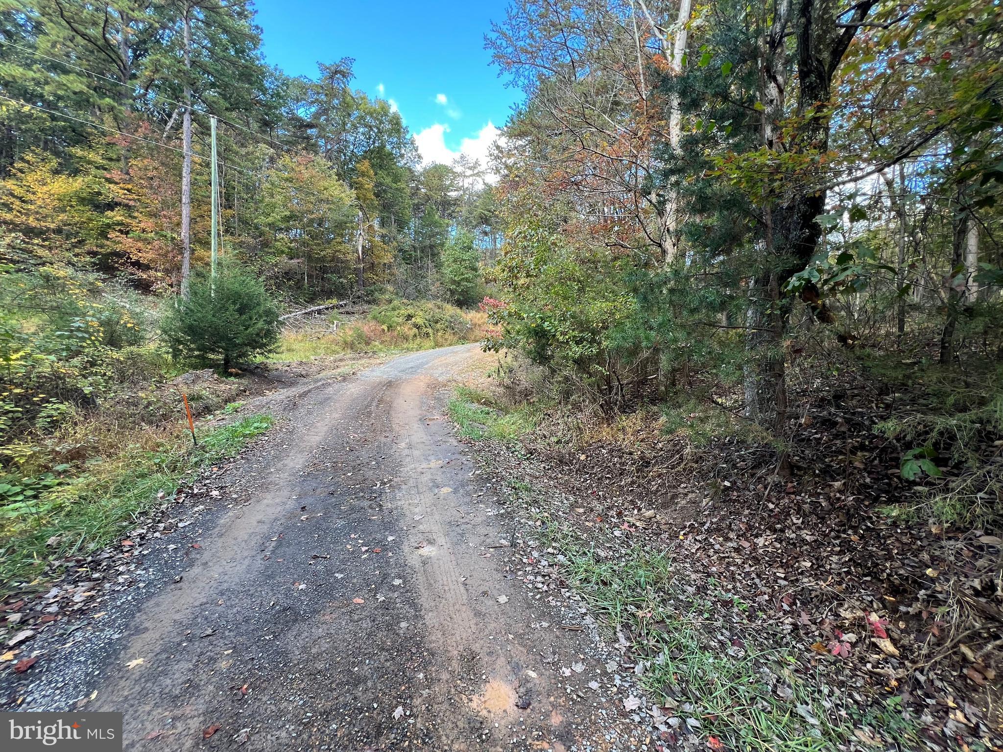 Lot 6 Deep Run Hollow Road Delray, WV 26714 - Photo 3 of 18 a view of a yard with large trees