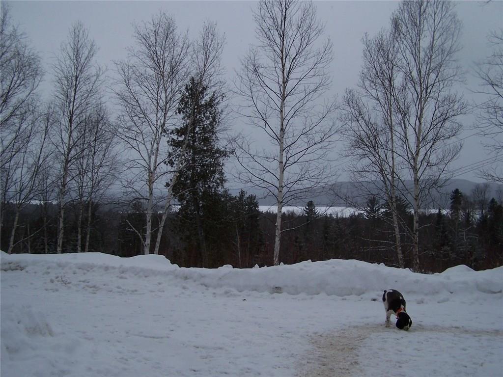 183 Wilsons Mill Road Rangeley, ME 04970 - Photo 28 of 32 view from driveway