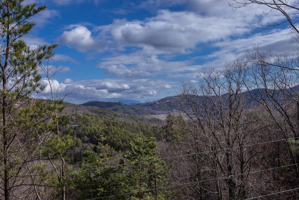 1870 Natures Lane, Unit RUSTICRIDGE Sevierville, TN 37862 - Photo 26 of 29 Gallery Image 26