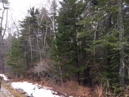 150 South Road Chebeague Island, ME 04017 - Photo 1 of 2 Photo