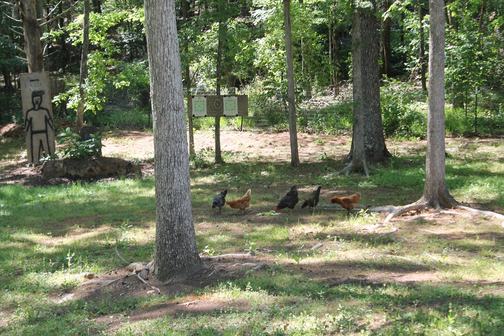 7375 Riverfork Road Waterloo, SC 29384 - Photo 44 of 50