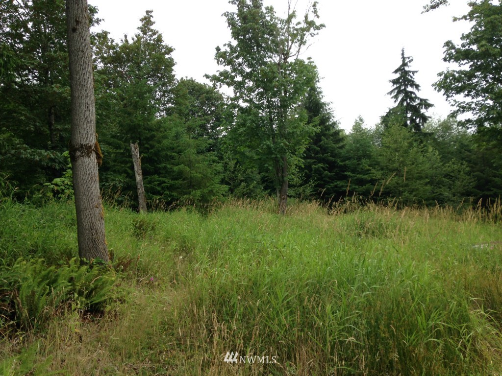1774 Leland Valley Road West Quilcene, WA 98376 - Photo 1 of 5 Gallery Image 1