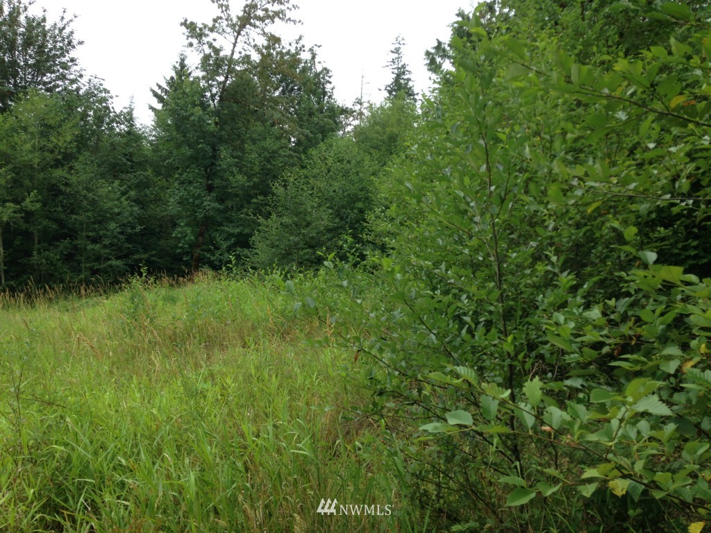 1774 Leland Valley Road West Quilcene, WA 98376 - Photo 5 of 5 Gallery Image 5