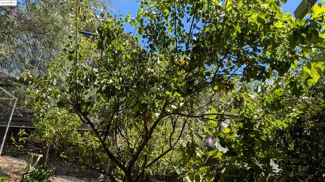 a view of swimming pool from a lake