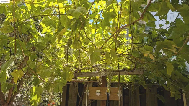 a view of lake with a pond