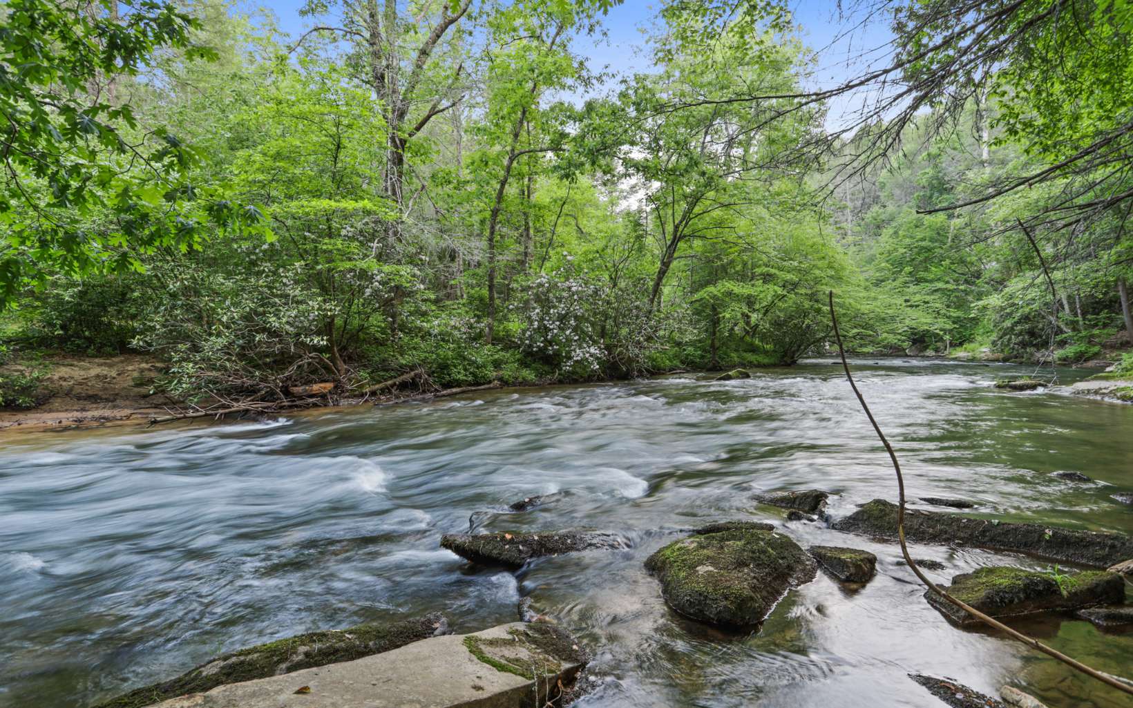264 Miracle Lane Blue Ridge, GA 30513 - Photo 4 of 62 Additional View