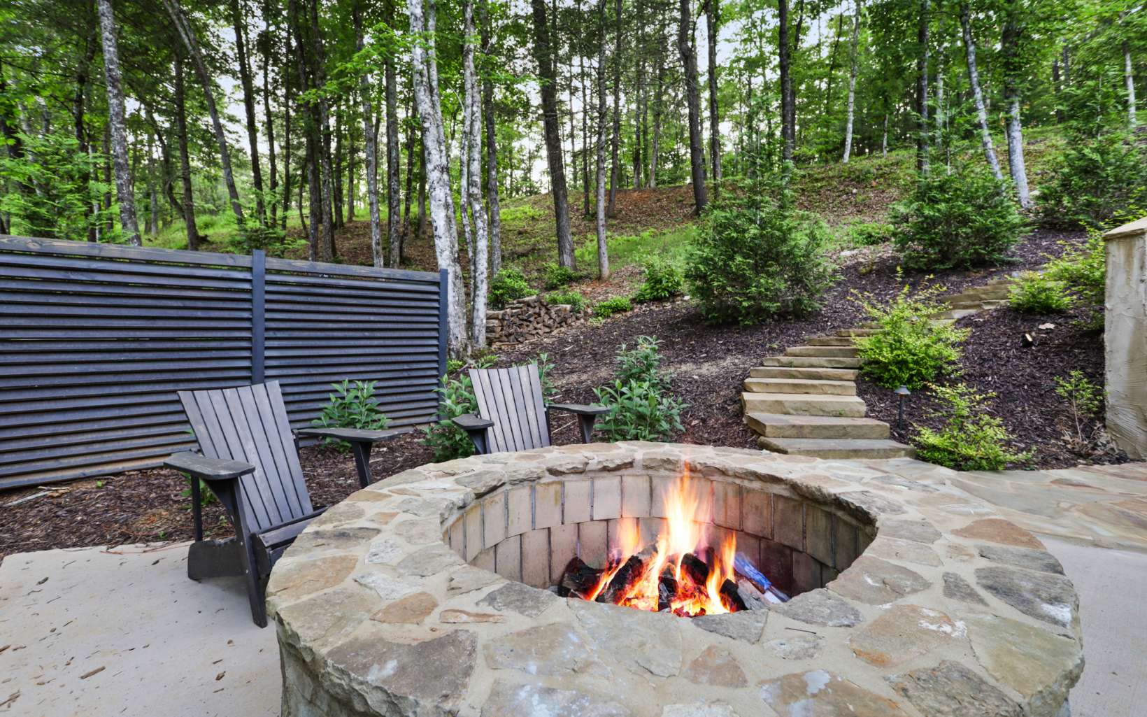 264 Miracle Lane Blue Ridge, GA 30513 - Photo 50 of 62 Additional View