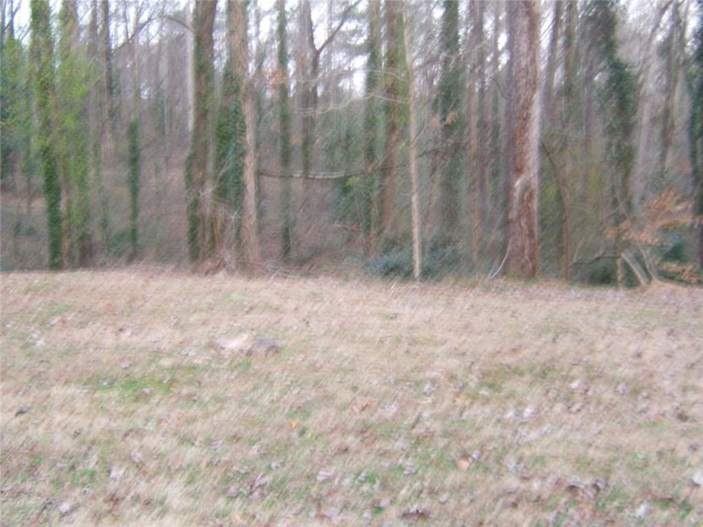 2026 Kimberly Road Southwest Atlanta, GA 30331 - Photo 9 of 11 a view of backyard with green space