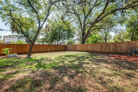 a backyard with wooden fence and a large tree