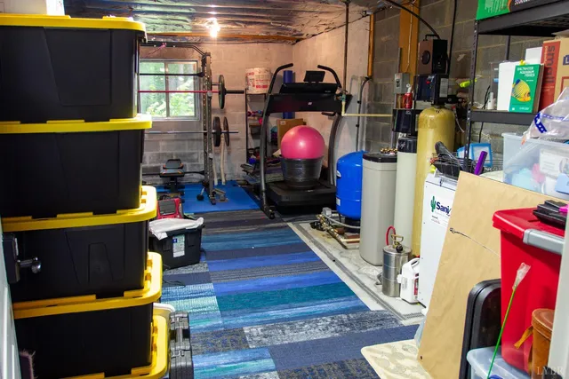 a view of a big yard with plants and large trees