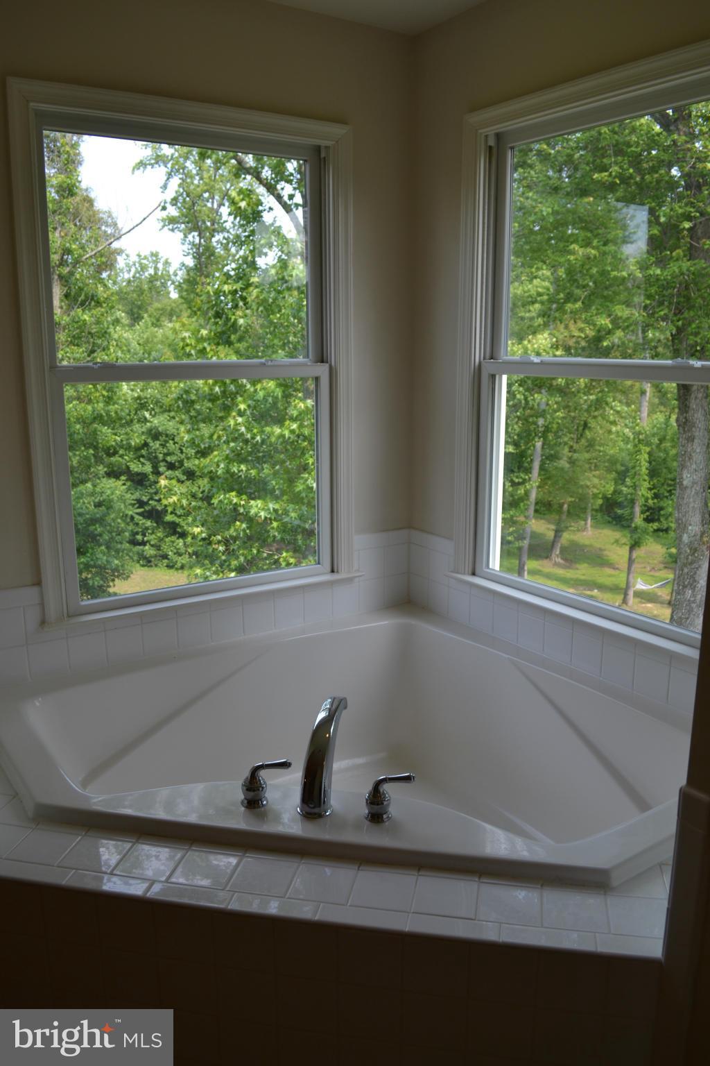 3521 White Hall Road King George, VA 22485 - Photo 24 of 30 Bath (Master)