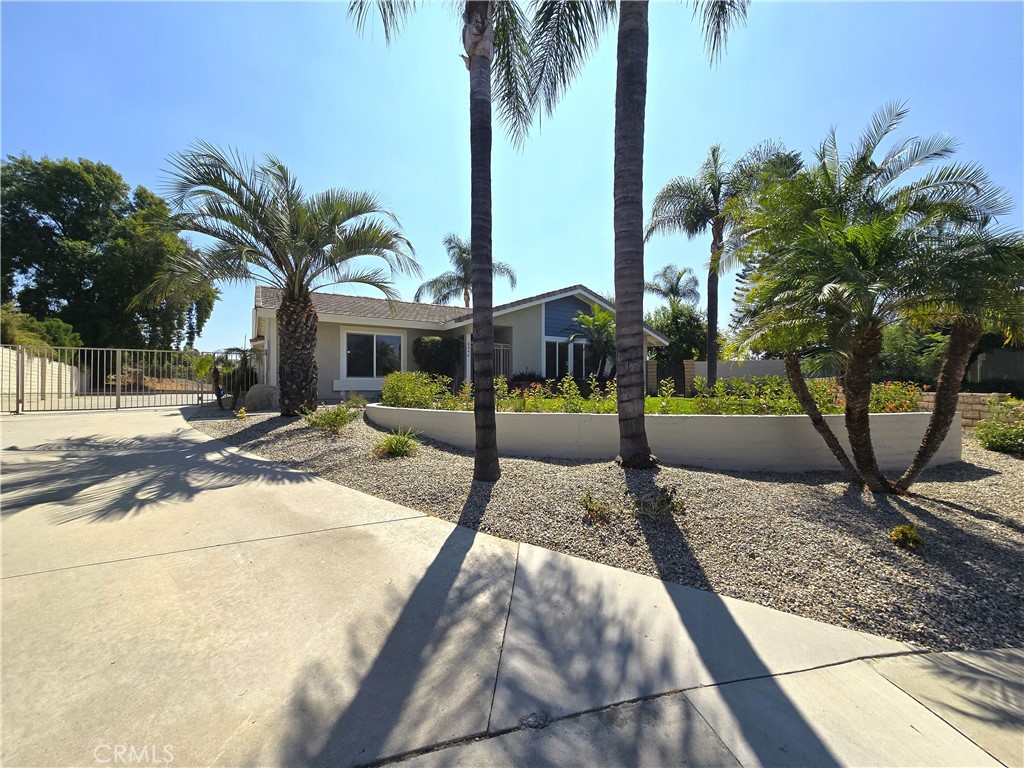 6846 Barkwood Road Riverside, CA 92506 - Photo 2 of 27 a view of a park with palm trees