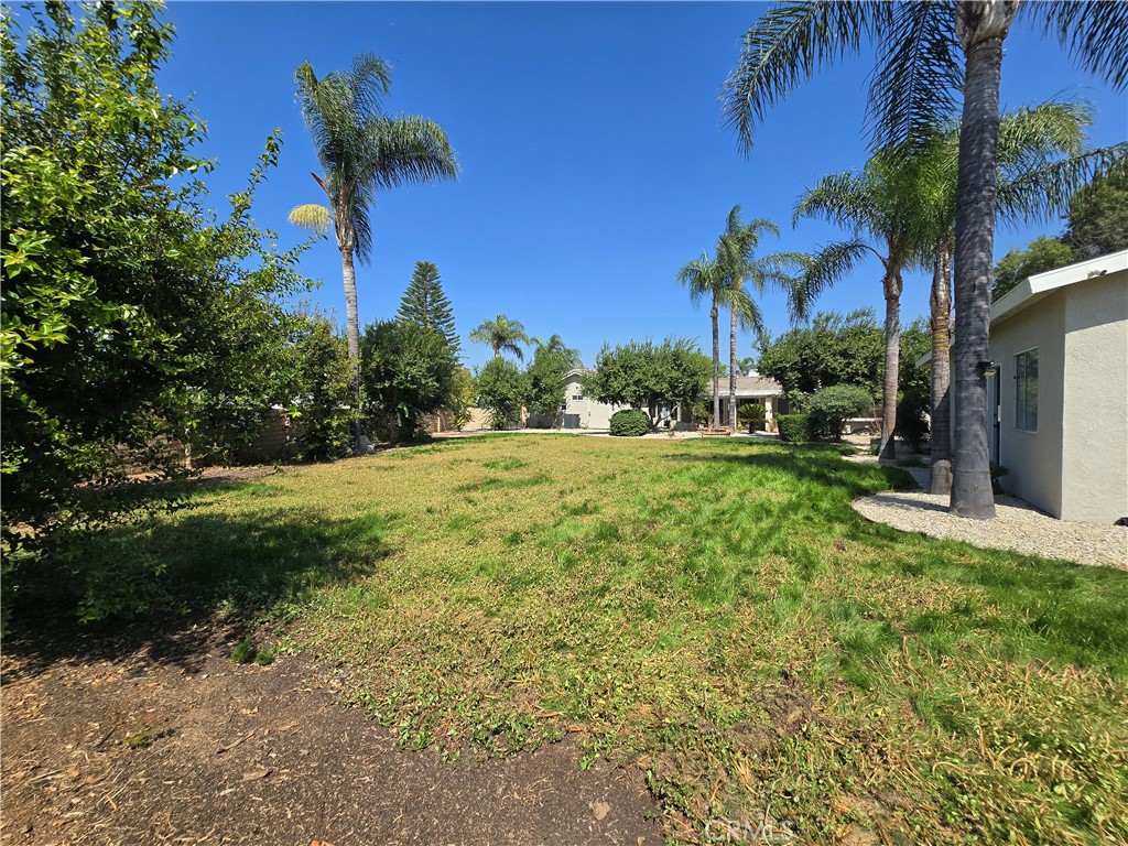 6846 Barkwood Road Riverside, CA 92506 - Photo 26 of 27 a view of a yard with a palm tree