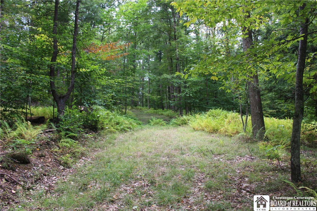7788 Willow Brook Road Little Genesee, NY 14754 - Photo 1 of 1 Gallery Image 1