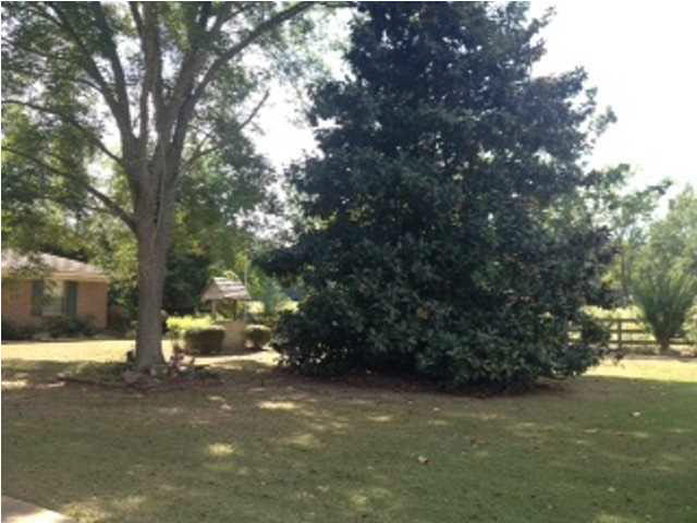 768 County Line Road Mendenhall, MS 39114 - Photo 12 of 14 Photo 12