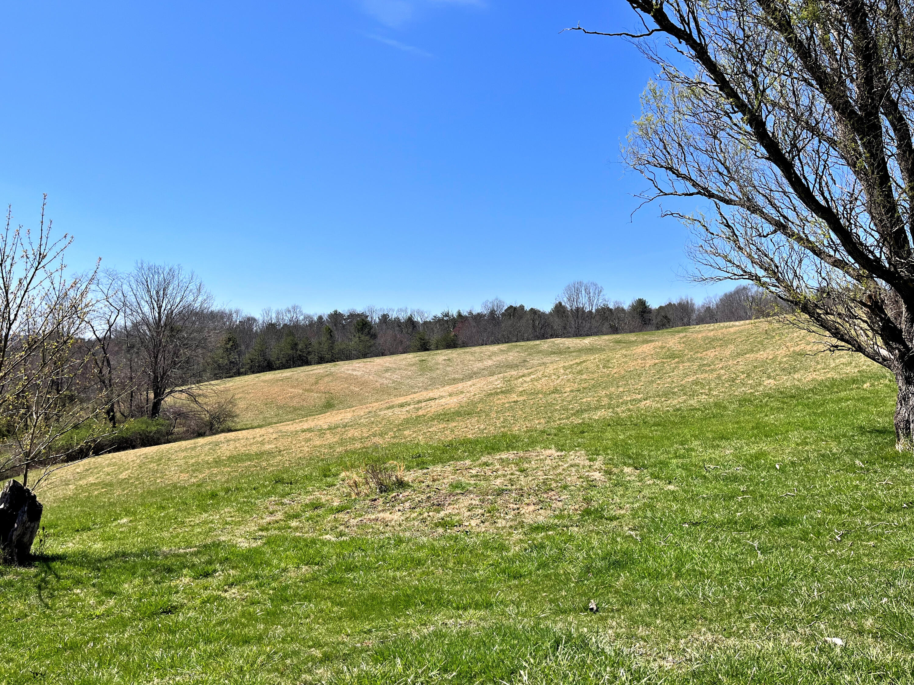 194 High Hopes Lane Northwest Riner, VA 24149 - Photo 54 of 86 49IMG_4758