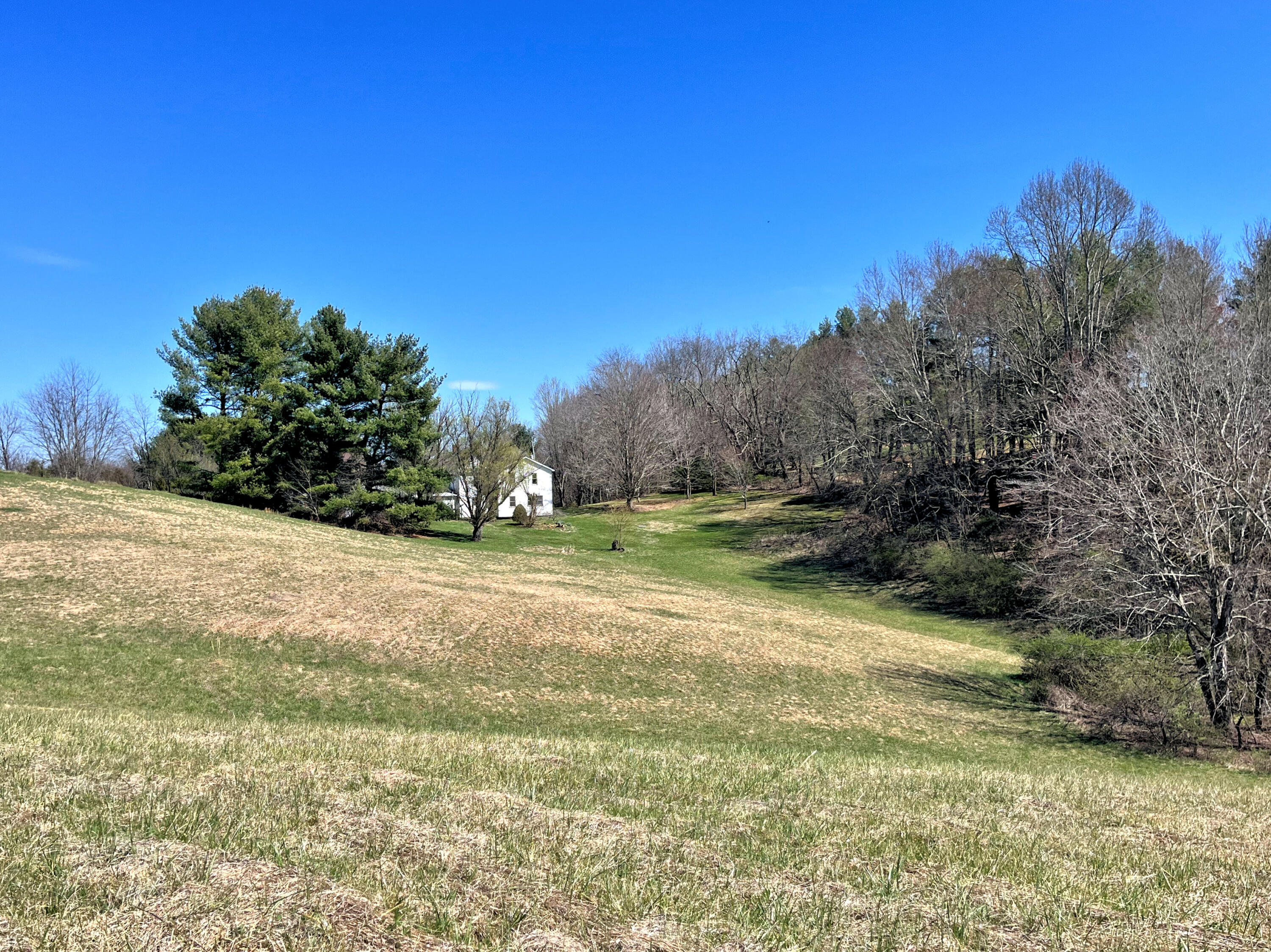 194 High Hopes Lane Northwest Riner, VA 24149 - Photo 58 of 86 53IMG_4771