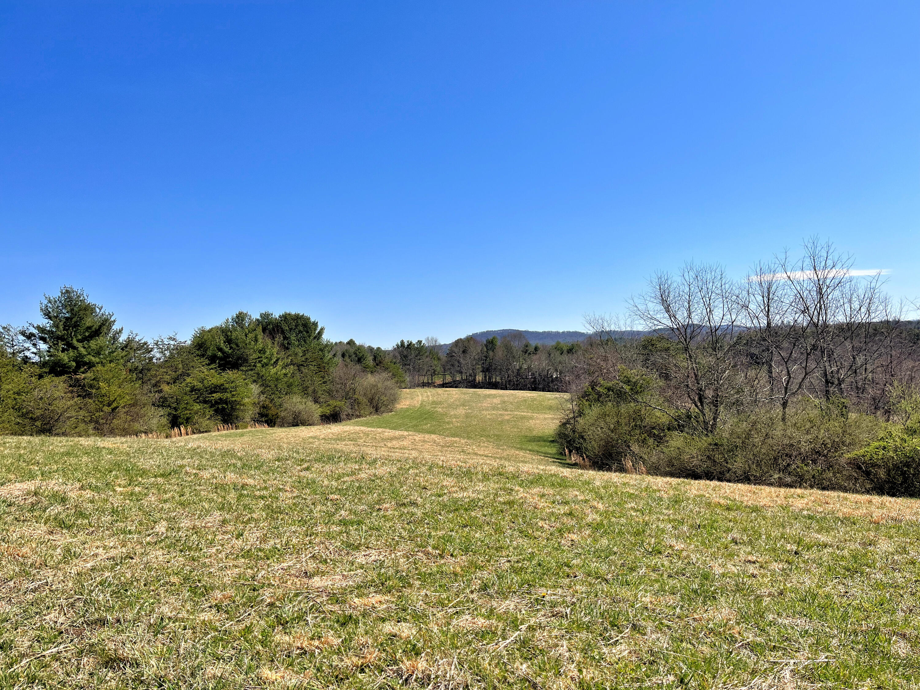 194 High Hopes Lane Northwest Riner, VA 24149 - Photo 59 of 86 54IMG_4774