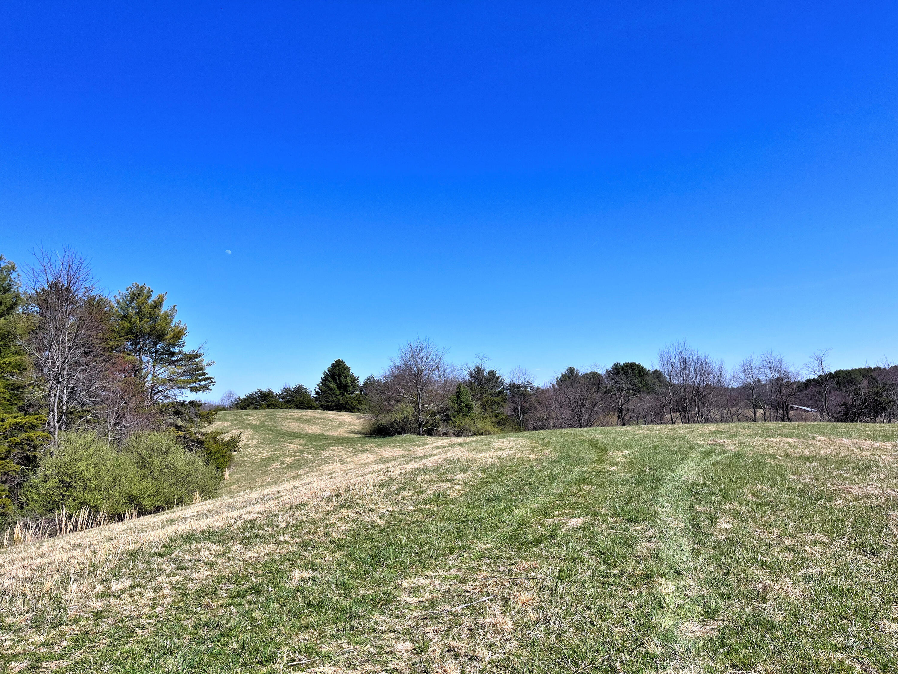 194 High Hopes Lane Northwest Riner, VA 24149 - Photo 60 of 86 55IMG_4777