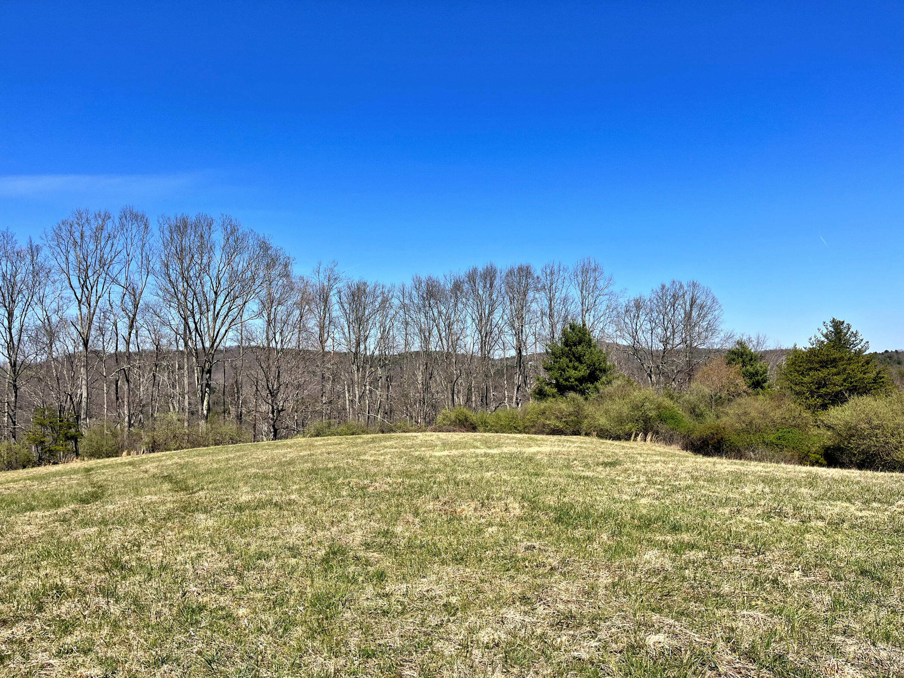 194 High Hopes Lane Northwest Riner, VA 24149 - Photo 61 of 86 56IMG_4775