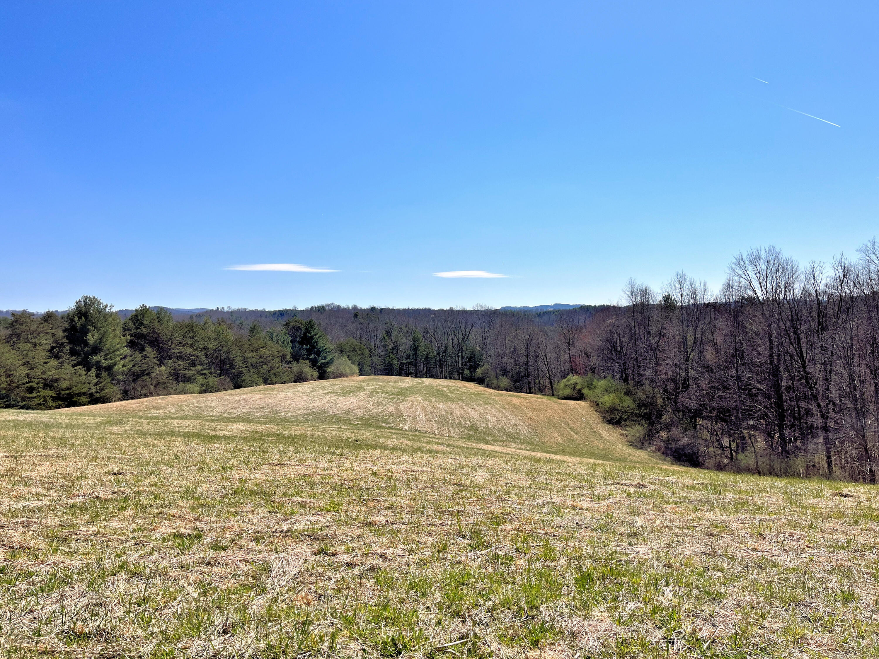 194 High Hopes Lane Northwest Riner, VA 24149 - Photo 62 of 86 57IMG_4776