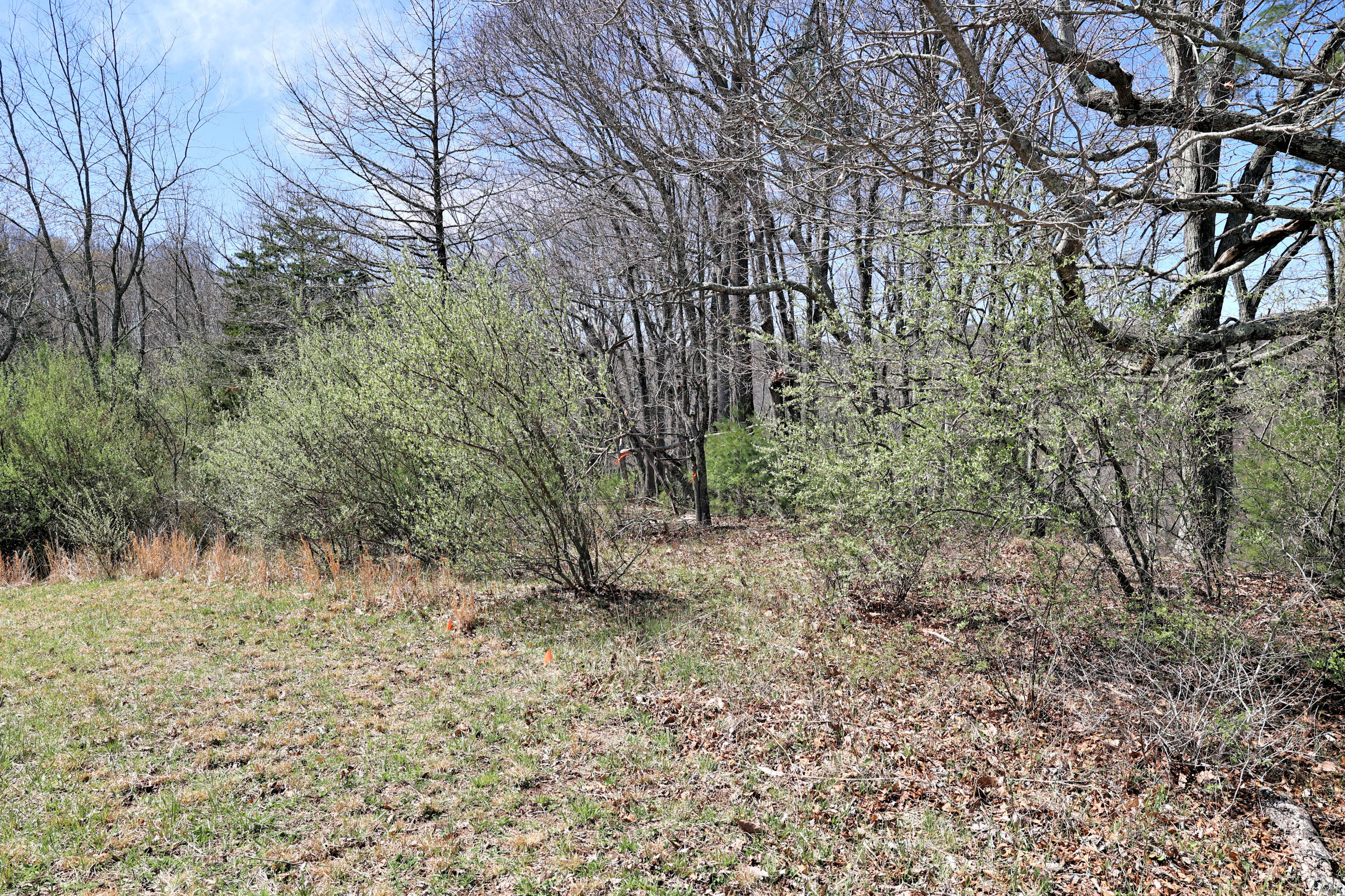 194 High Hopes Lane Northwest Riner, VA 24149 - Photo 63 of 86 297A0818
