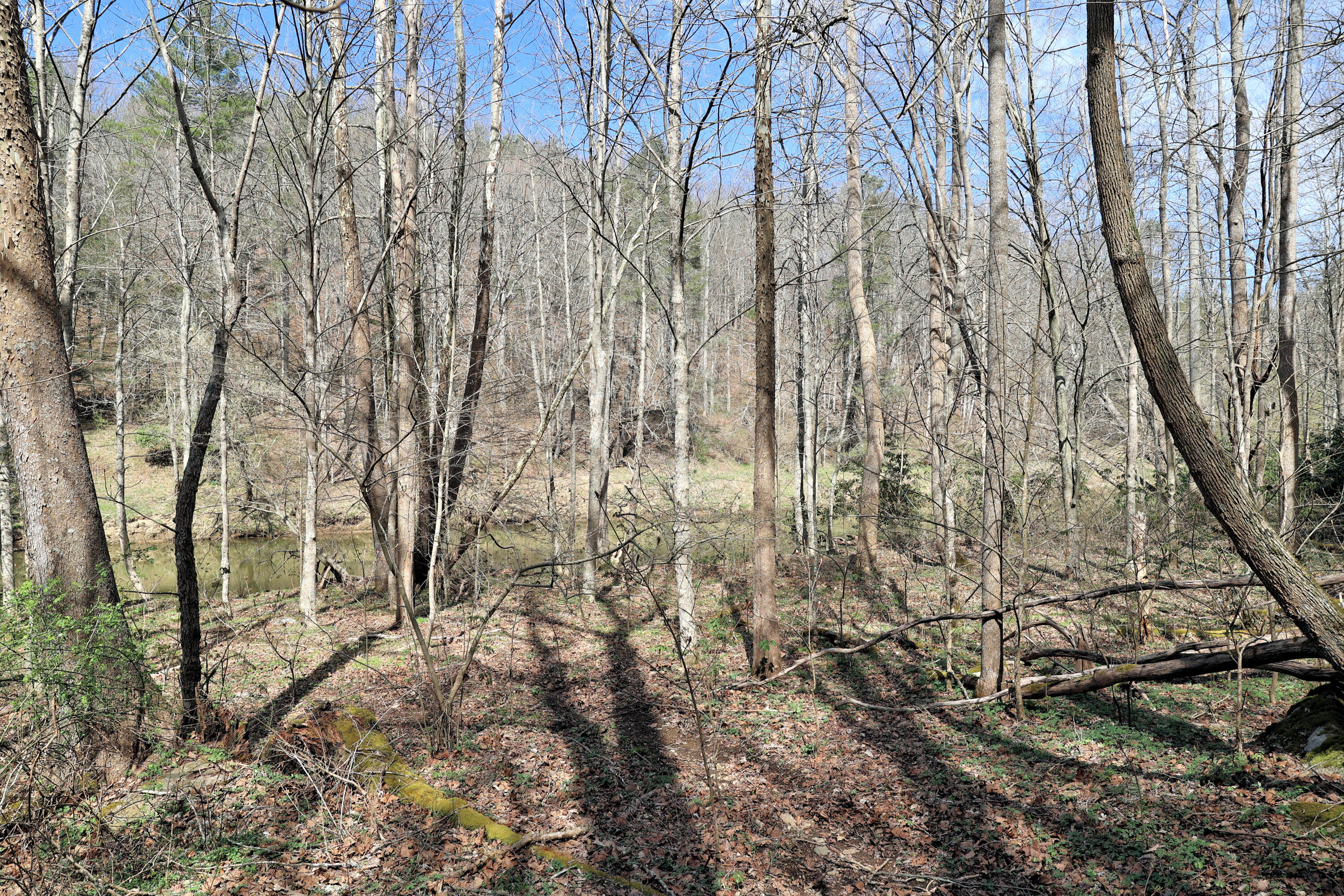 194 High Hopes Lane Northwest Riner, VA 24149 - Photo 82 of 86 297A0848
