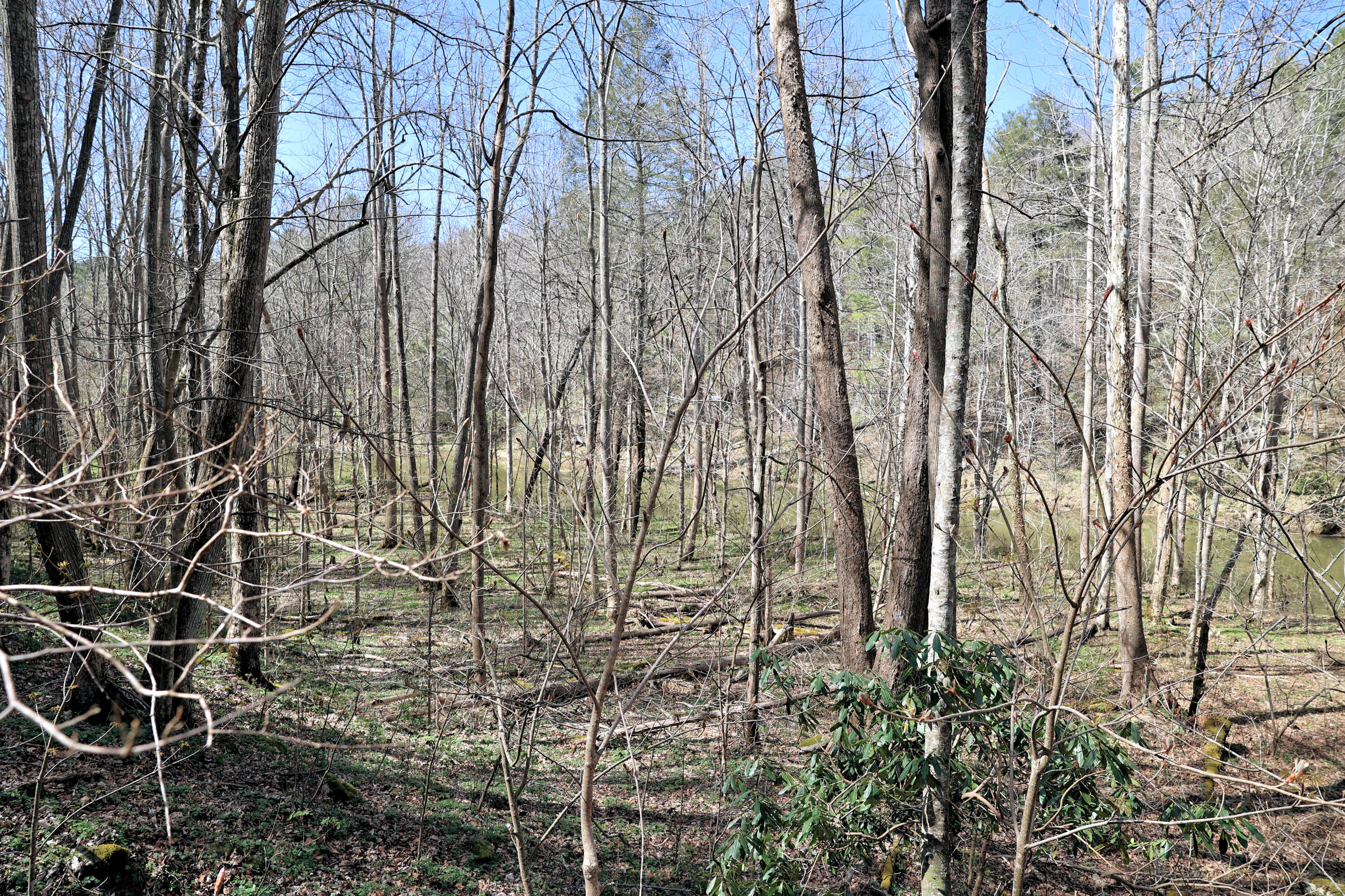 194 High Hopes Lane Northwest Riner, VA 24149 - Photo 85 of 86 297A0852