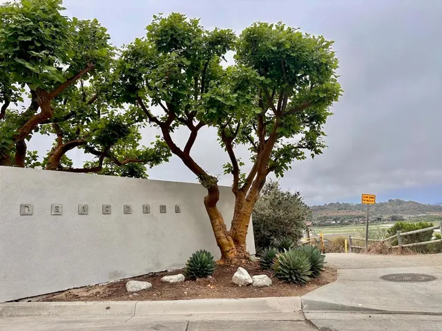 a view of a water fountain and a tree