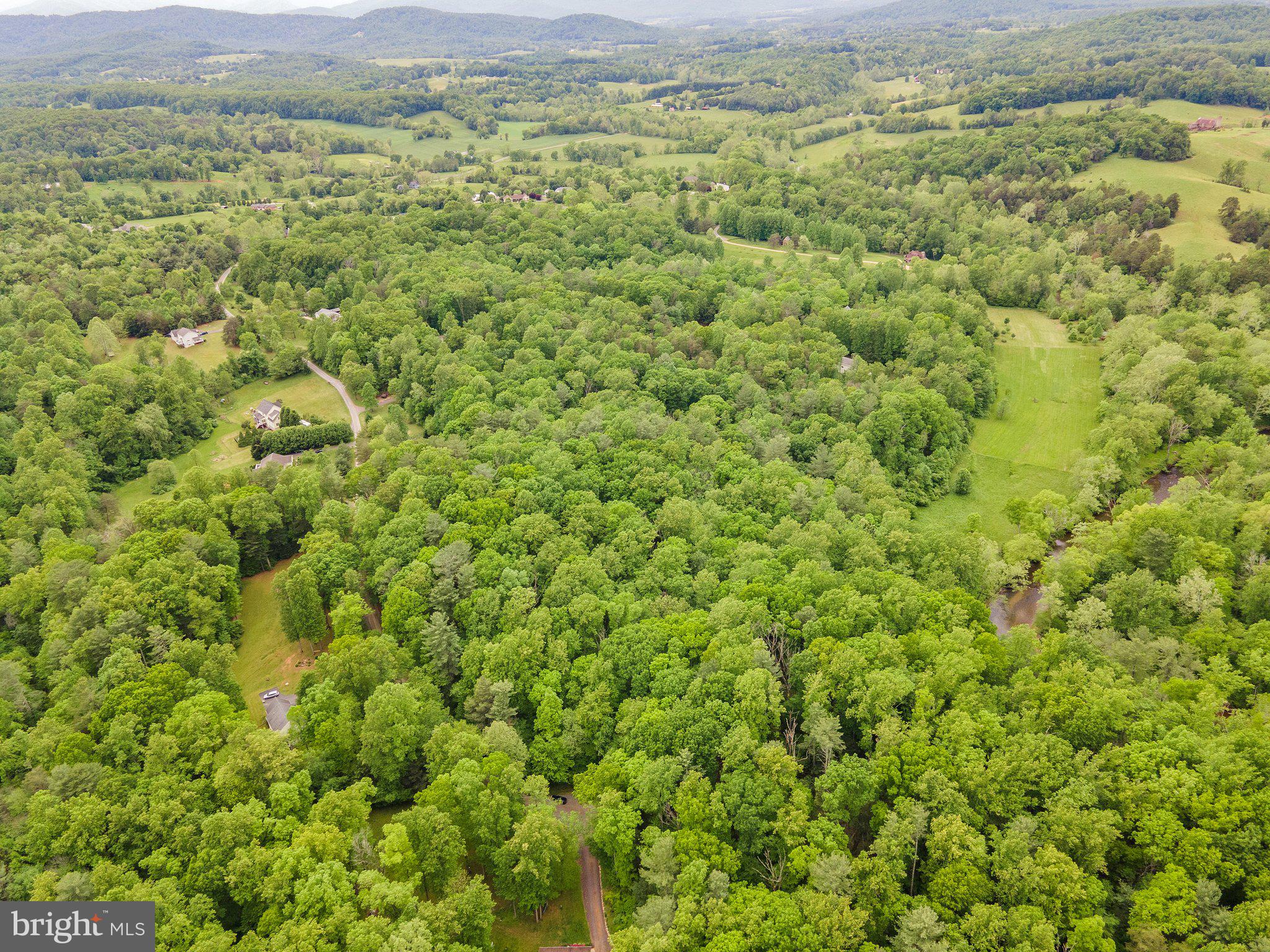 4.55 Acres Deer Lane Boston, VA 22713 - Photo 12 of 44