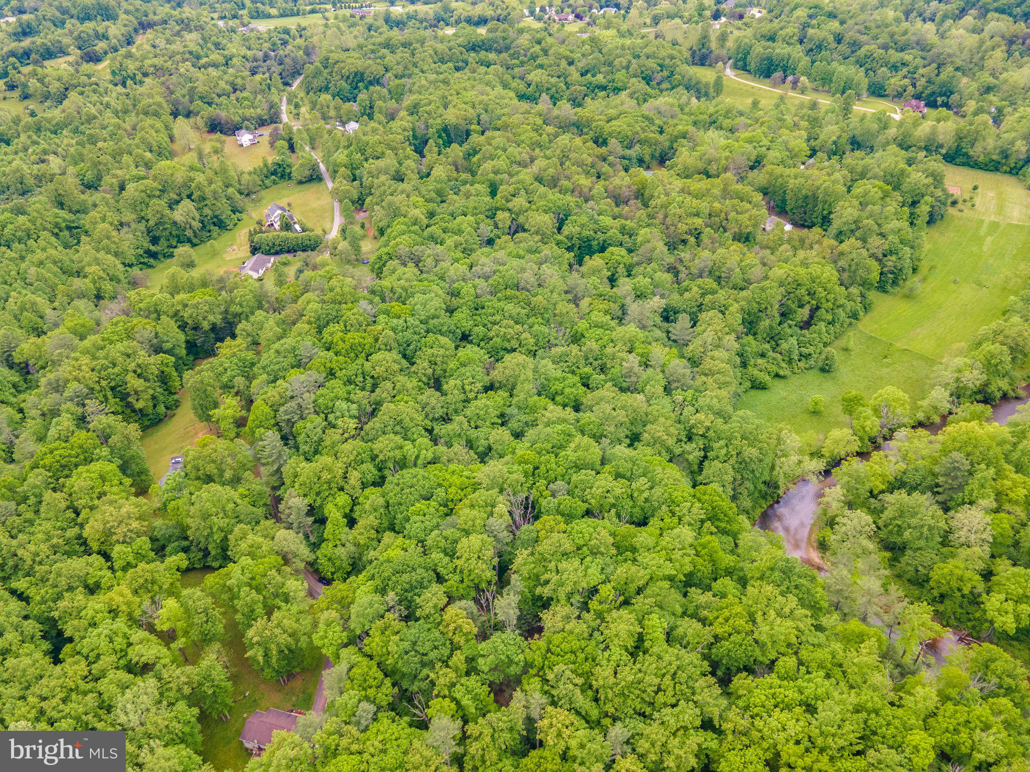 4.55 Acres Deer Lane Boston, VA 22713 - Photo 13 of 44