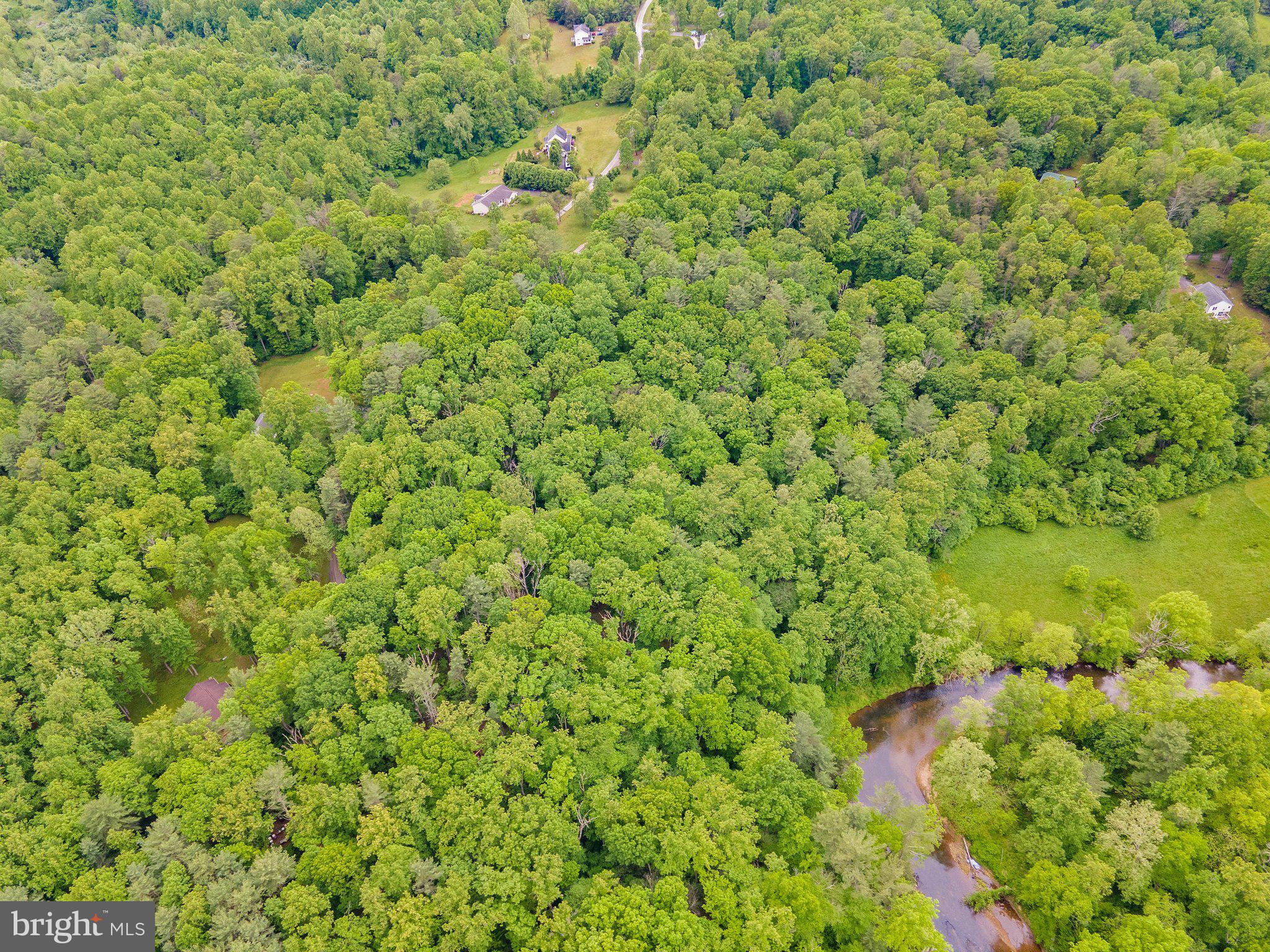 4.55 Acres Deer Lane Boston, VA 22713 - Photo 14 of 44