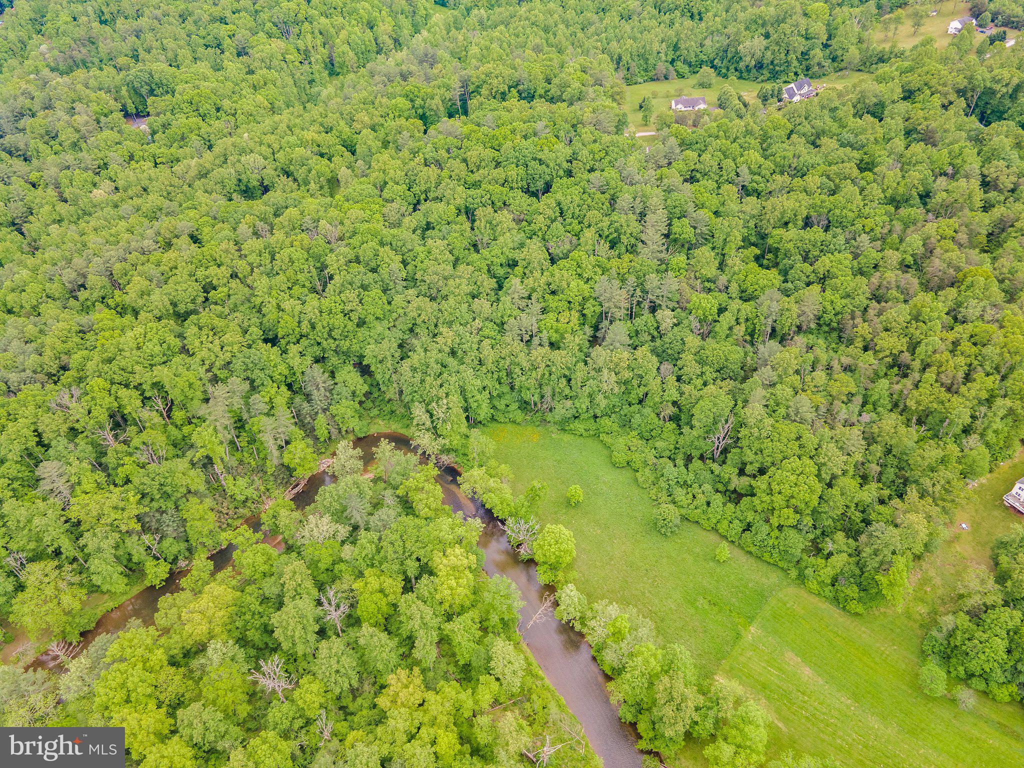 4.55 Acres Deer Lane Boston, VA 22713 - Photo 16 of 44