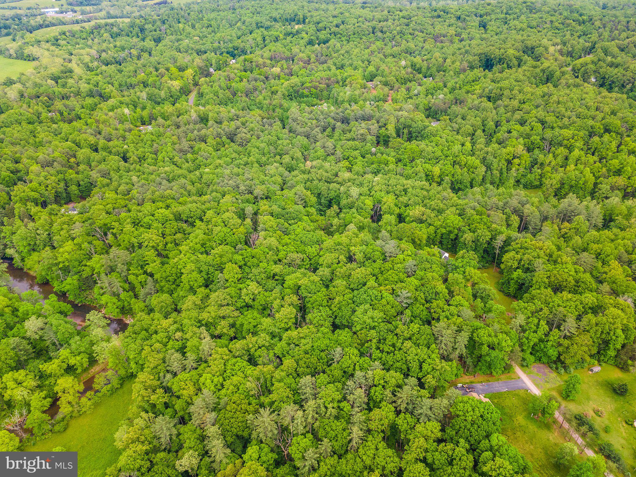 4.55 Acres Deer Lane Boston, VA 22713 - Photo 17 of 44