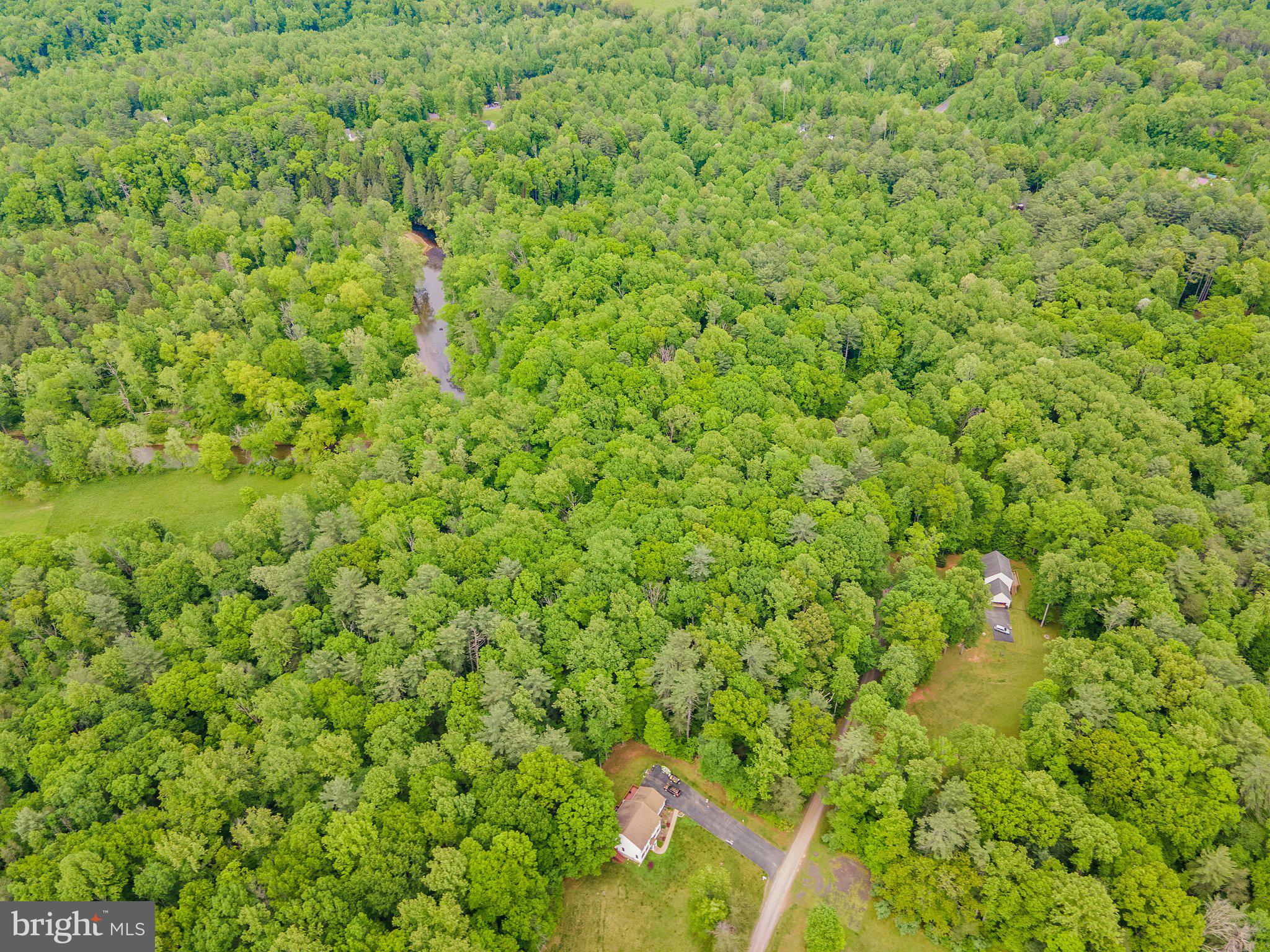 4.55 Acres Deer Lane Boston, VA 22713 - Photo 18 of 44
