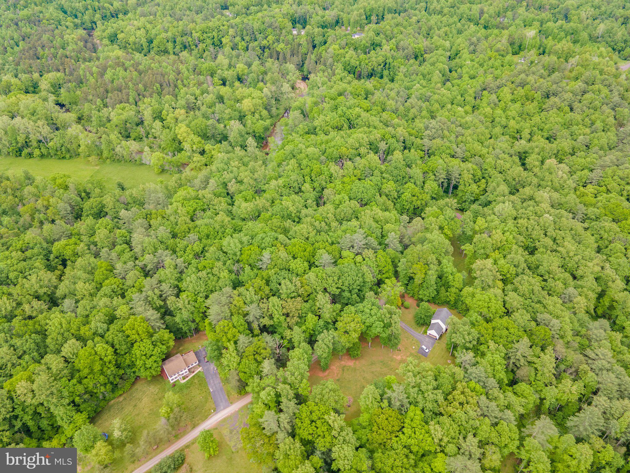 4.55 Acres Deer Lane Boston, VA 22713 - Photo 19 of 44