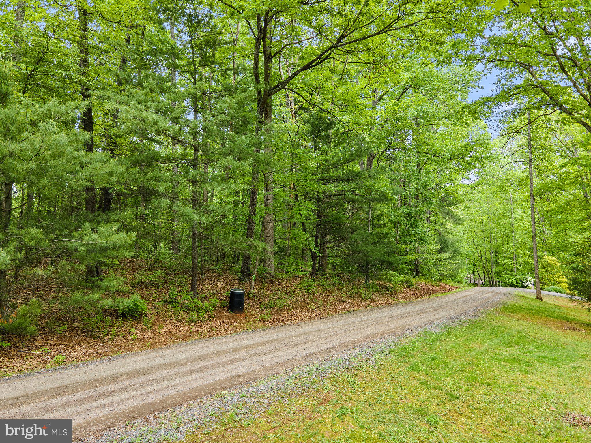 4.55 Acres Deer Lane Boston, VA 22713 - Photo 2 of 44 Nice road frontage on Deer Lane