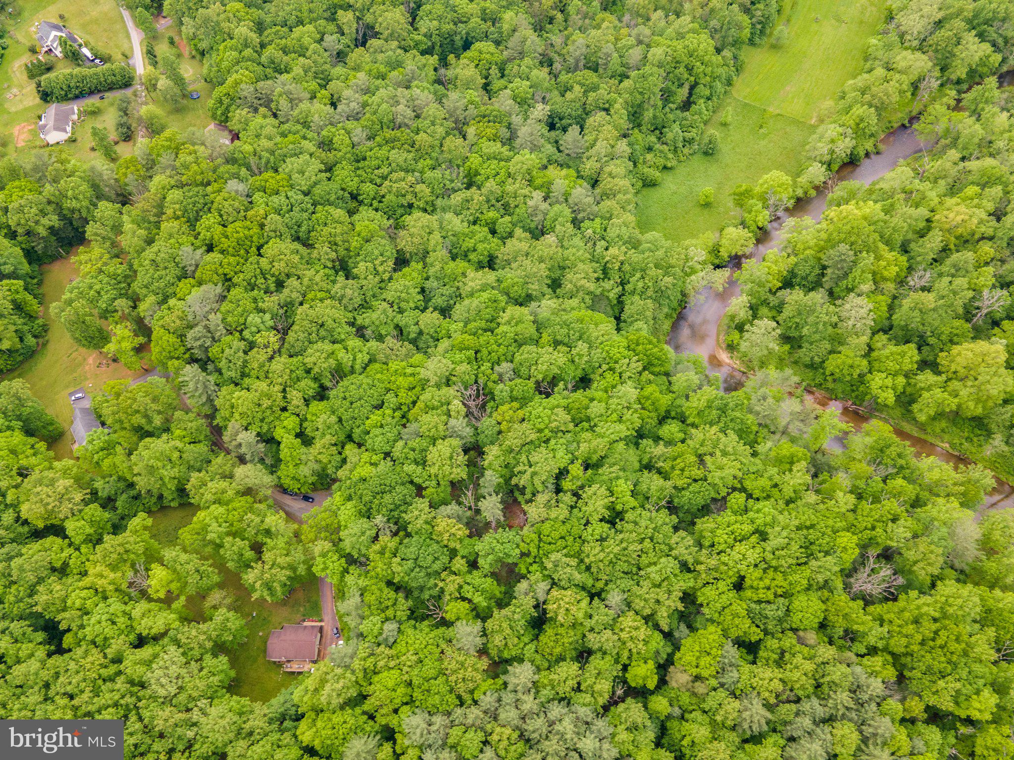 4.55 Acres Deer Lane Boston, VA 22713 - Photo 22 of 44
