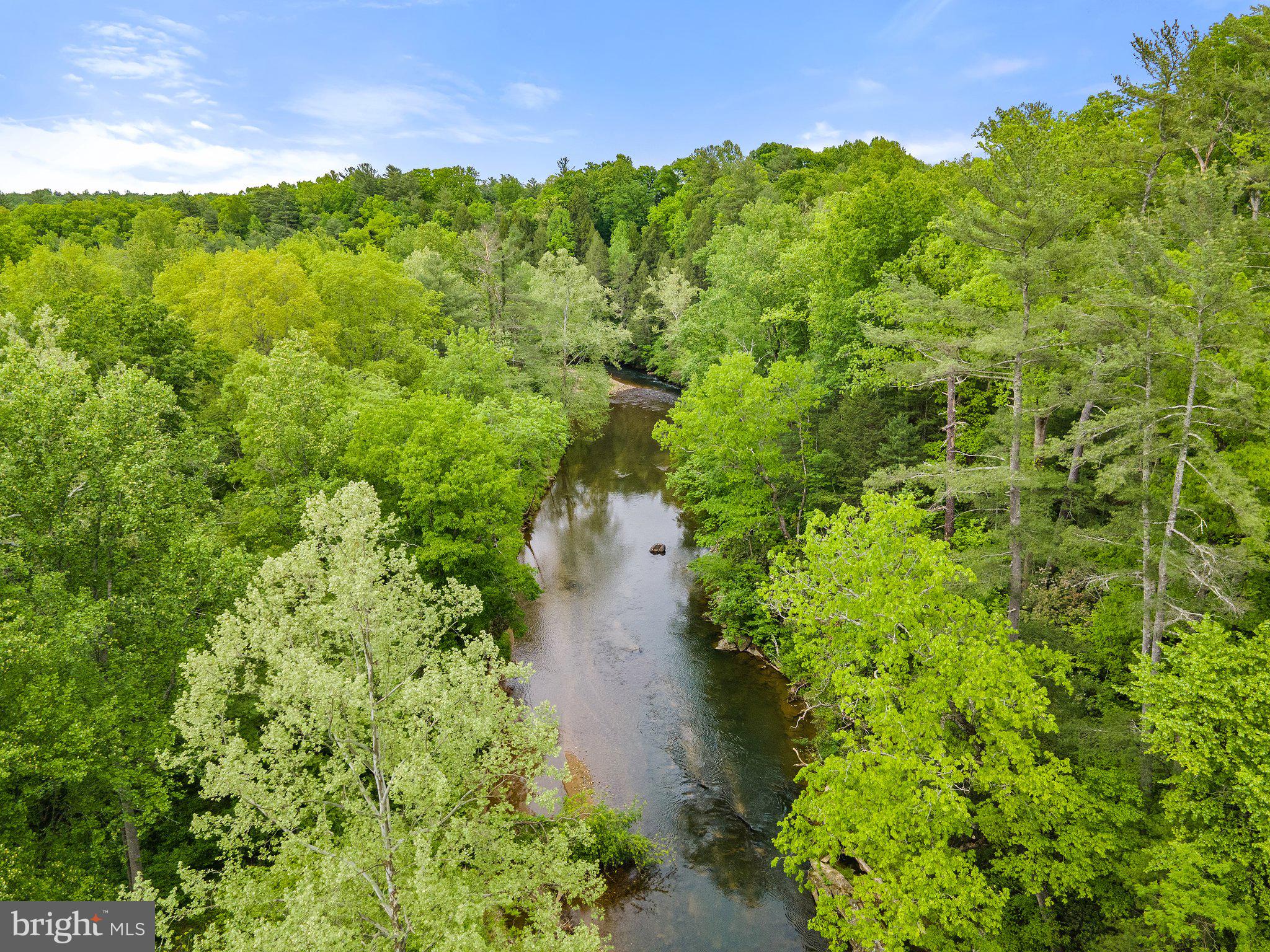 4.55 Acres Deer Lane Boston, VA 22713 - Photo 23 of 44