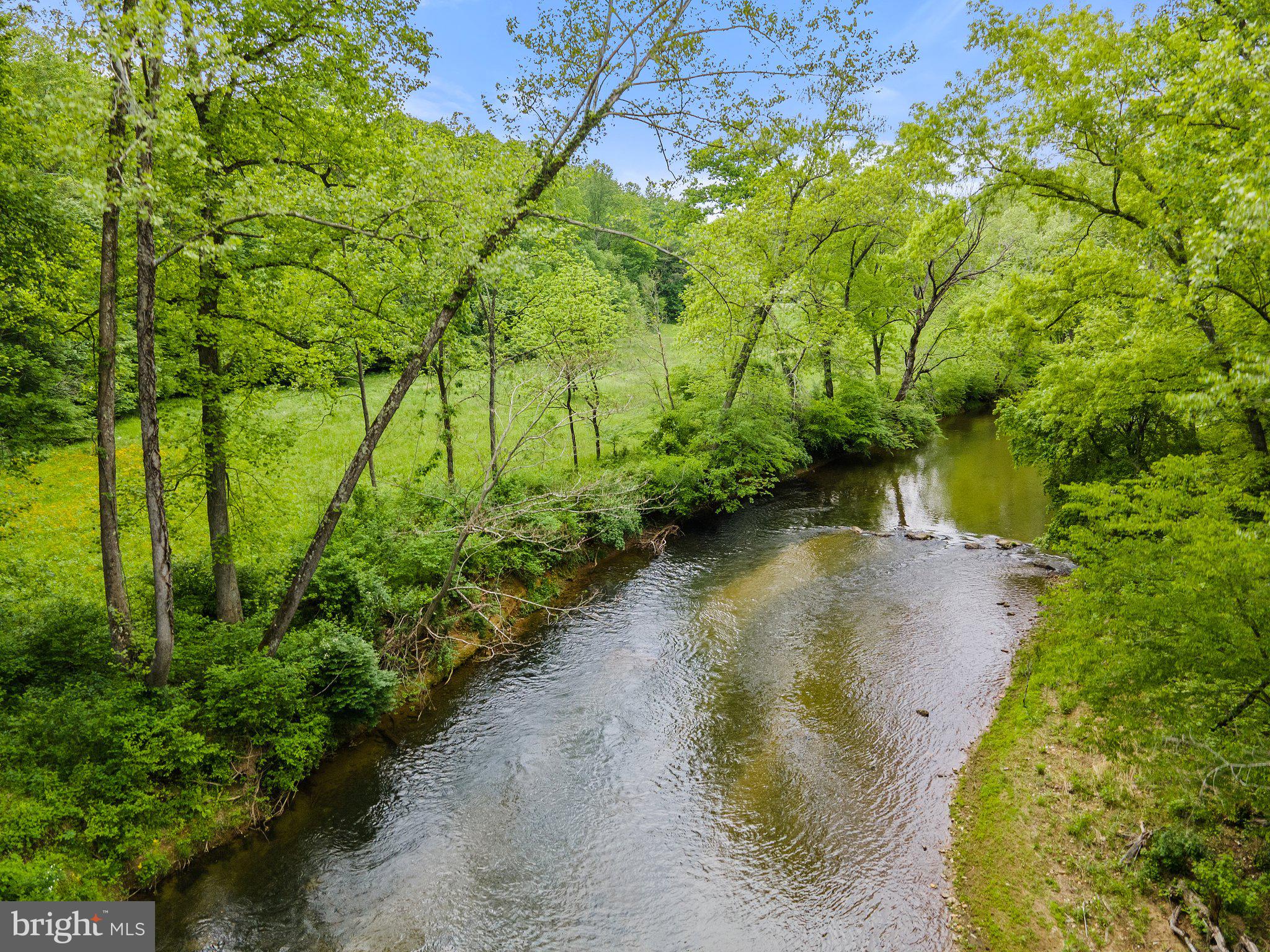 4.55 Acres Deer Lane Boston, VA 22713 - Photo 24 of 44